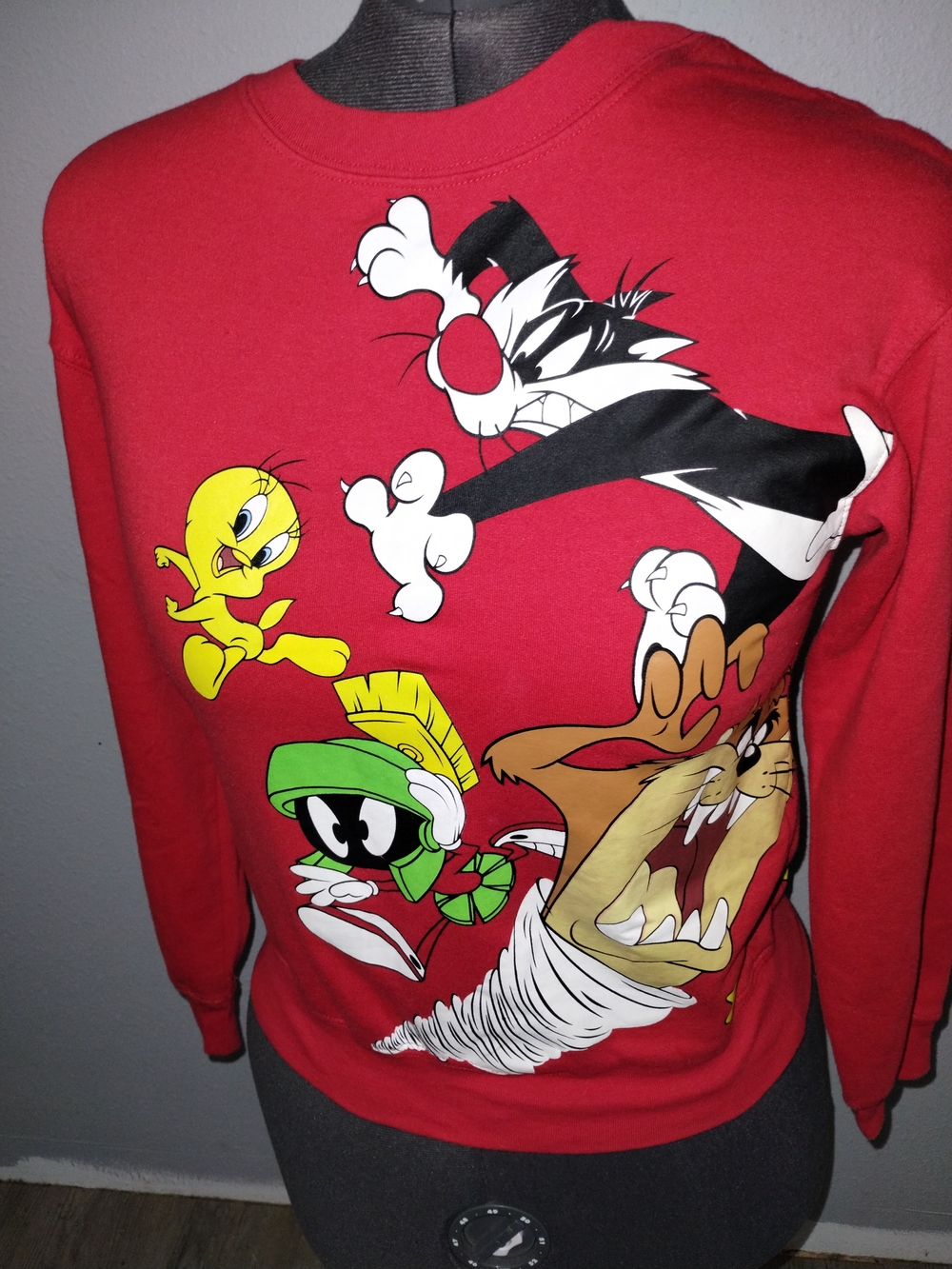 Warner Bros. Looney Tunes Character Sweatshirt With Front And Back Graphics.